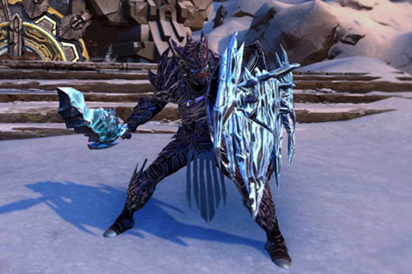 Guardian Fighter in Neverwinter