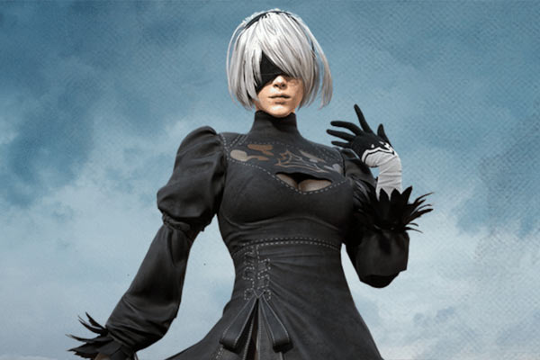 2B en Nier