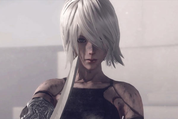 A2 en Nier