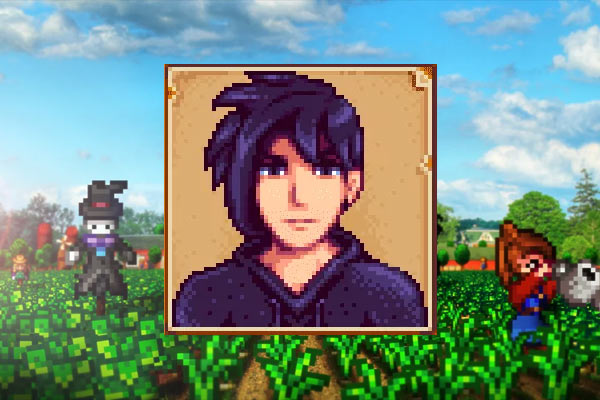 Sebastian aus Stardew Valley