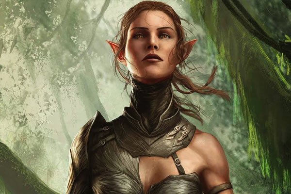 Sebille in Divinity: Original Sin II