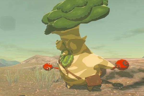 Hestu dans Zelda: Tears of the Kingdom