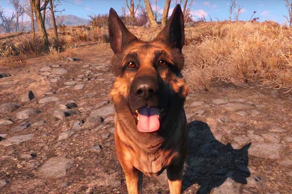 Dogmeat dans Fallout 4